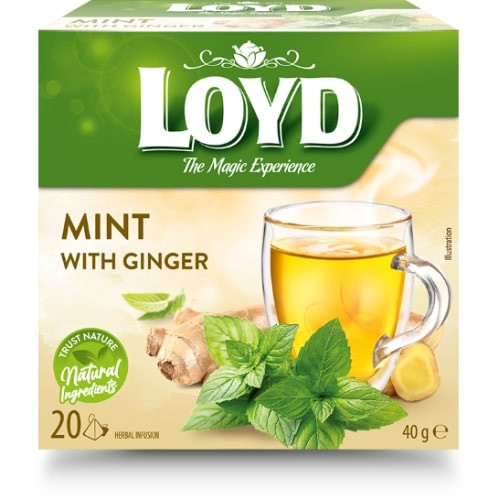Arbata LOYD, mėtos ir imbiero skonio, 20x2 g-Žolelių arbata-Arbata