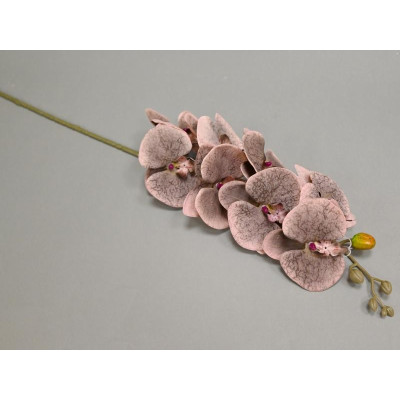 Šakelė orchidėja dirbtinė rusva "Tri"-Papuošimai-Interjero detalės