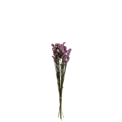 Džiovintos gėlės-Papuošimai-Interjero detalės