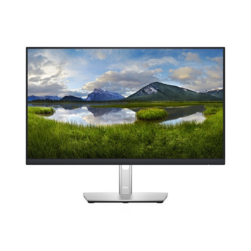 Monitorius Dell LCD P2422H 23.8 inch, sidabrinės/juodos spalvos-Monitoriai-Kompiuterių priedai