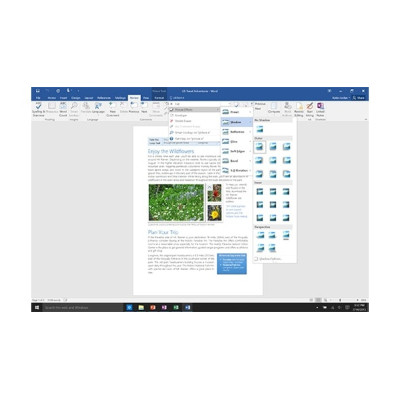 Programinė įranga Microsoft Office Home and Student 2016 (1 PC Licence)-Biuro
