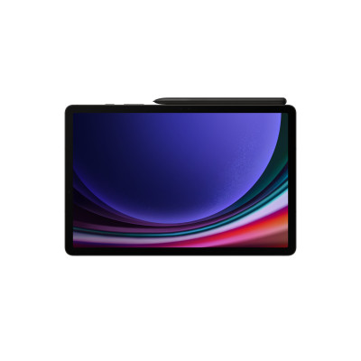Planšetinis kompiuteris Samsung Galaxy Tab S9 WiFi 128GB GRAY-Planšetiniai