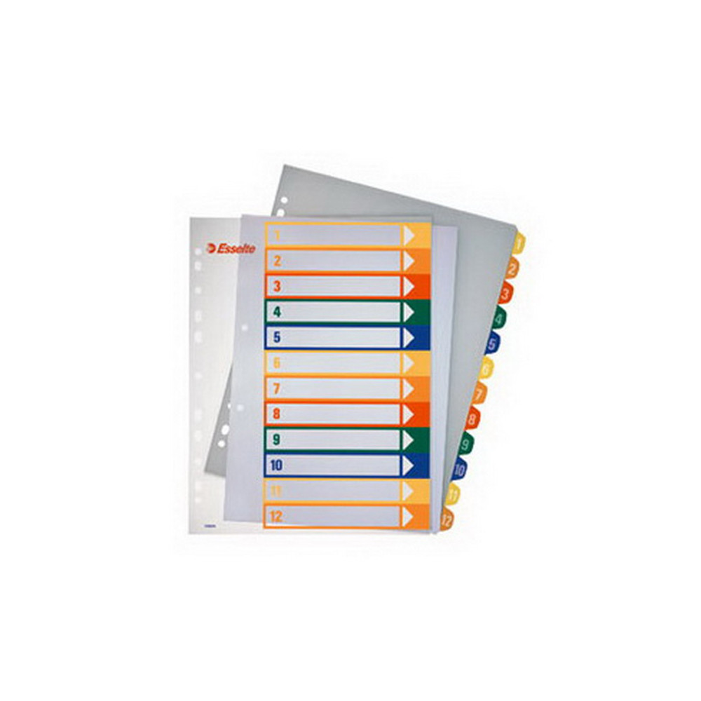 Plastikiniai spalvoti skiriamieji lapai ESSELTE, 1-12, A4, MAXI-Skiriamieji lapai-Dokumentų