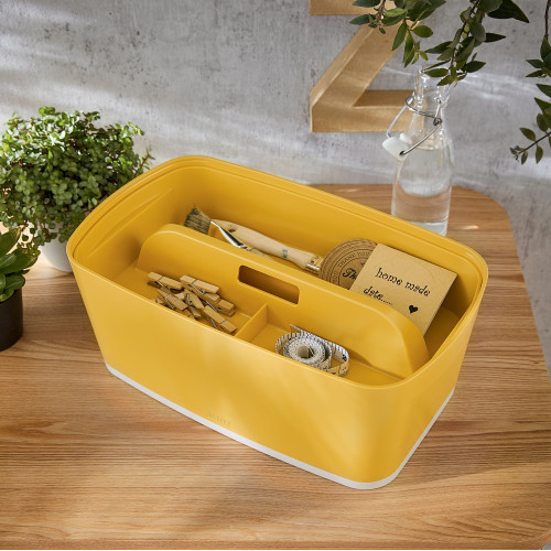Dėžutė daiktams Cosy L:MyBox su skyriais, maža, geltonos sp.-Archyvavimo dėžės ir