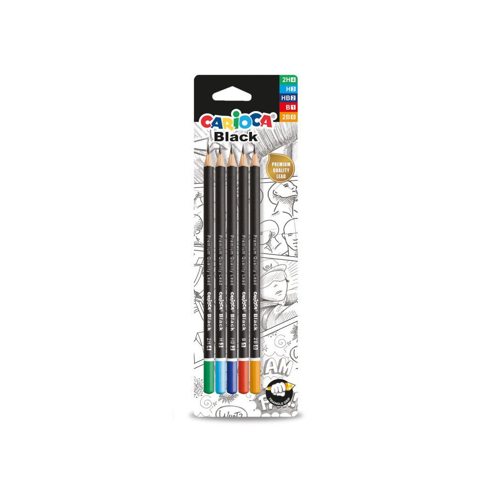 Juodo grafito pieštukai CAROCA blisteryje, 2H, H, HB, B, 2B, 5 vnt.-Pieštukai