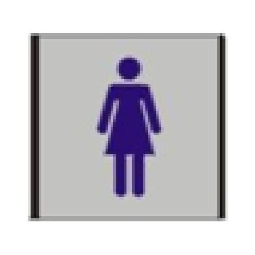 Informacinė lentelė 1.19 Moterų tualetas, 93mm x 93mm 0616-118-Informaciniai