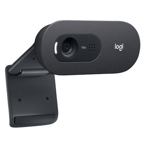 Internetinė kamera Logitech C505 HD USB (960-001364),-Internetinės kameros-Kompiuterių priedai