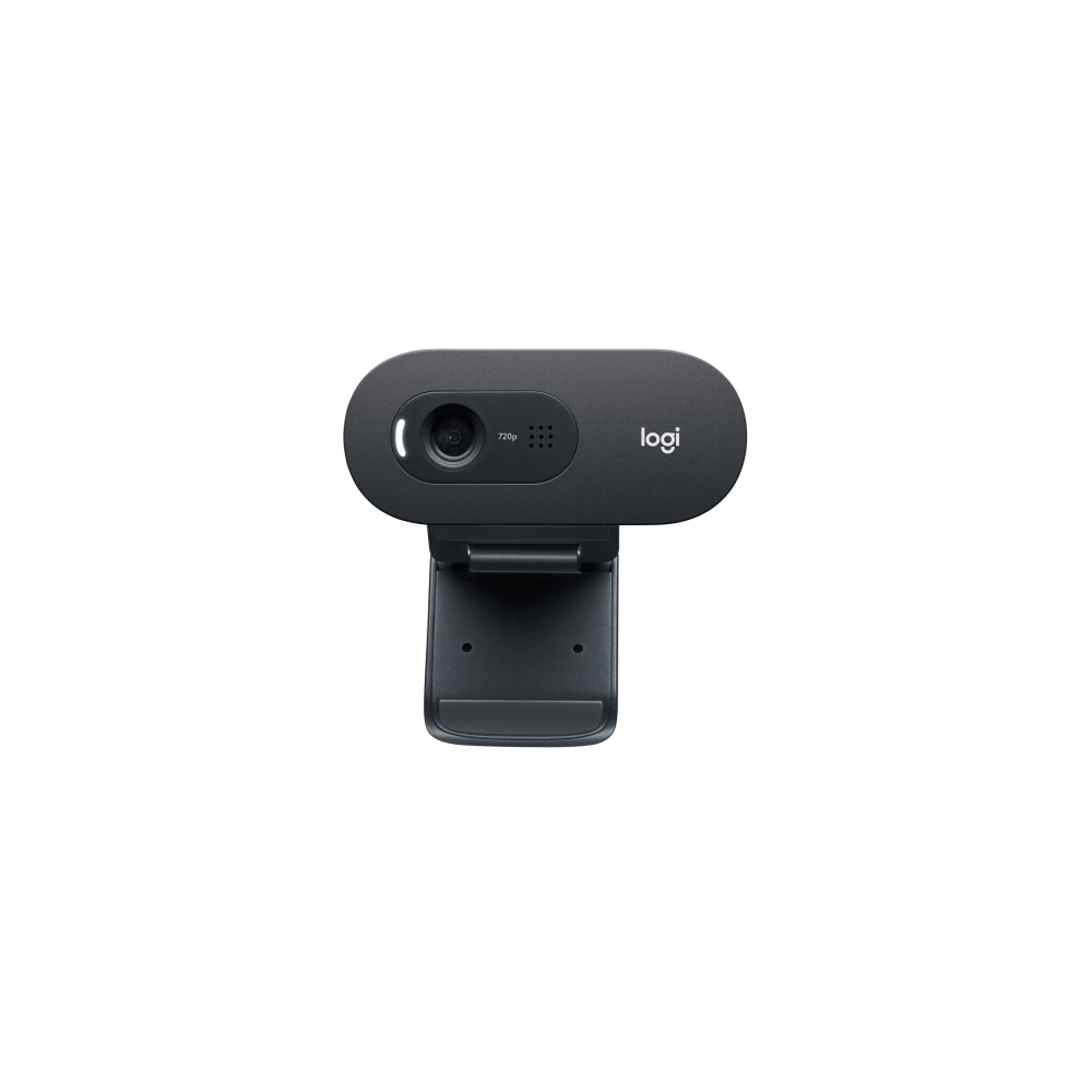 Internetinė kamera Logitech C505e HD Webcam (960-001372), juoda-Internetinės