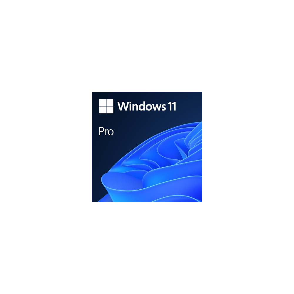 Operacinė sistema Microsoft Windows 11 Pro 64-Bit DVD OEM English International