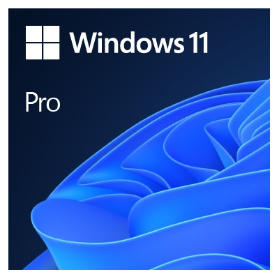 Operacinė sistema Microsoft Windows 11 Pro 64-Bit DVD OEM English International