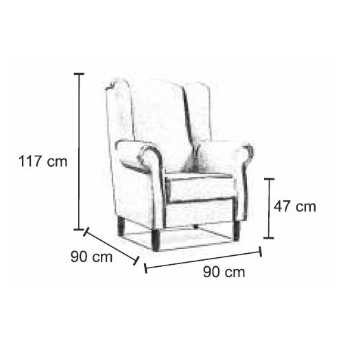 Fotelis + pufas AS 21-Foteliai-Svetainės baldai