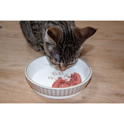 Šlapias kačių pašaras su vištiena, monoproteininis, 85 gr-Šlapias kačių maistas-Kačių ėdalas
