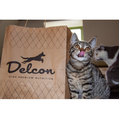 Delcon kačiukų ir maitinančių kačių monoproteininiai putėsiai, 85 gr-Šlapias kačių