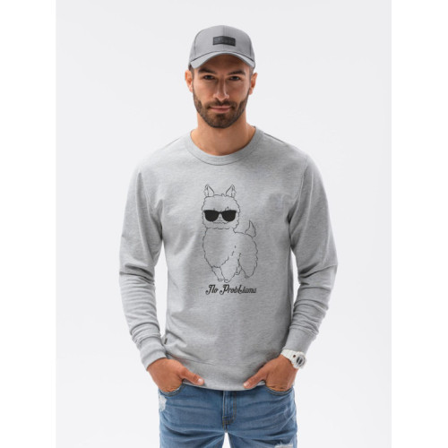 Šviesiai pilkos spalvos džemperis No ProbLlama-Vyriški džemperiai su spauda-Užrašai vyrams