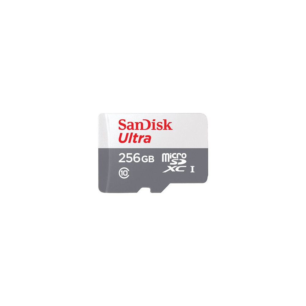 Atminties kortelė SANDISK Ultra microSDXC 256GB 100MB/s Class 10 UHS-I-Atminties
