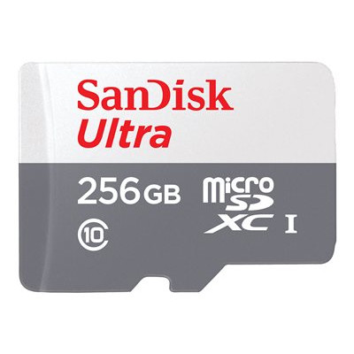Atminties kortelė SANDISK Ultra microSDXC 256GB 100MB/s Class 10 UHS-I-Atminties