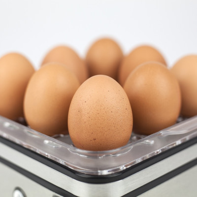 Kiaušinių virimo aparatas CASO E9-Kiti prietaisai-Maisto ruošimo prietaisai