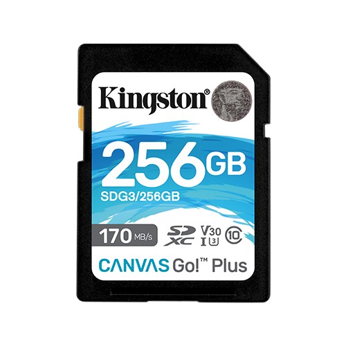 Kingston Canvas Go! Plus 256 GB, SD, Flash memory class 10-USB laikmenos-Skaitmeninės laikmenos